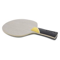 Masquedardos Lemn Paddle Ping Pong Sauer Troger Dominate All Kontav