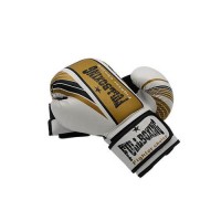 Masquedardos Gale Fullboxing Pair of Boxing Gloves 05091