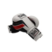 Masquedardos Full boxing gloves earthquake 05092