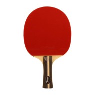 Masquedardos Die Ping Pong...