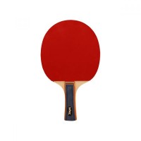 Masquedardos Ping pong shovel Softee P100 + Fund 24227