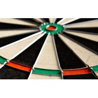 Masquedardos Winmau Diamond Plus 3011 tradicionalna meta