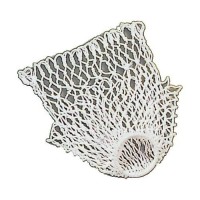 Masquedardos Adjustable net for billiard chairs and bowls 6 Uds 70030001