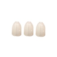 Masquedardos Champagne Ring Shell Lock White Natural Slr-mw