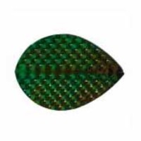 Masquedardos Plumas Iridescent Embossed Oval Verde