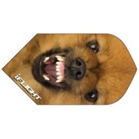 Masquedardos Ruthless feather Invincible slim dog Inv-814