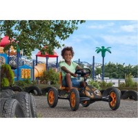 Masquedardos Pedal car Berg Professional Buddy Be28.24.00.00