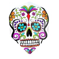 Masquedardos Erpici Quadro Standard Calavera 2003 voli.