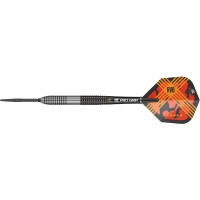 Masquedardos Dardos Target Darts Rvb95 G3 Schweizer Punkt 95% 25g 190068