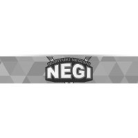 Masquedardos Dart One80 Negi Noriyuki Negishi 19 gr 90% 7852