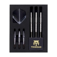 Masquedardos Dardos Trinidad Darts Locche Yusuke Kuniki acier 20.5 gr 90%