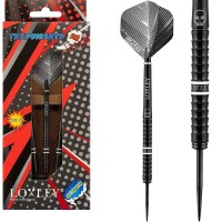 Masquedardos Dardos Loxley Darts The Punisher 21g 90% Punta de aço