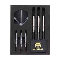 Masquedardos Dardo Trinidad Darts Gonzalez Tipo 4 P. Metal 90% 20g