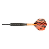 Masquedardos Meta za pikado Raymond Van Barneveld Rvb Brass 18gr 170015