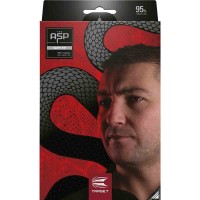 Masquedardos Dardos Target Darts Nathan Aspinall G2 95% 18gr  210333