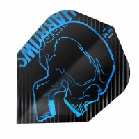 Masquedardos Feathers Harrows Darts Flights Rage Aqua Hf9503