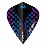 Masquedardos Winmau Darts...