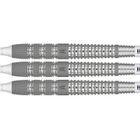 Masquedardos Darts Target Darts Barney 25. Geburtstag 95% 20g 210317