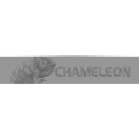 Masquedardos Les fléchettes One80 Chameleon Apatite Soft 18g 90% 9352