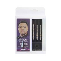 Masquedardos Dardos Trinidad Darts Raymond Copano Soft 22.0g 90%