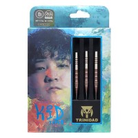 Masquedardos Dardos Trinidad Darts Kid Type 2 Tomoya Goto 95% 24g