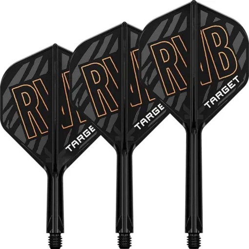 Masquedardos Target K-flex No.2 Int Standard Feathers Raymond Van Barneveld 410133