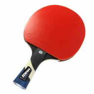 Masquedardos Die Ping Pong...