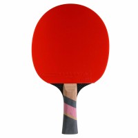 Masquedardos Ping pong shovel Cornilleau This is the number of vehicles