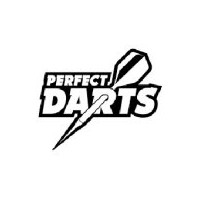 Perfect Darts Acélcsap